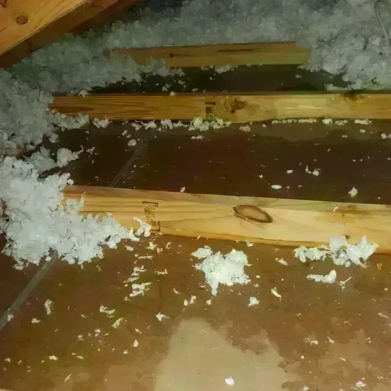 Attic Water Damage in Navarro County, TX