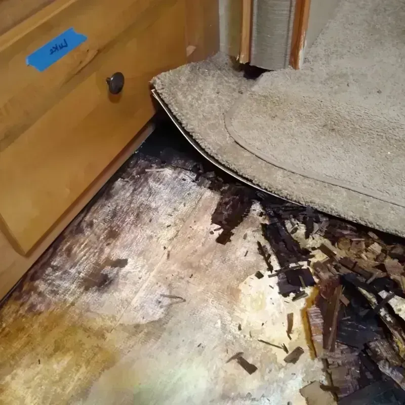 Wood Floor Water Damage in Navarro County, TX